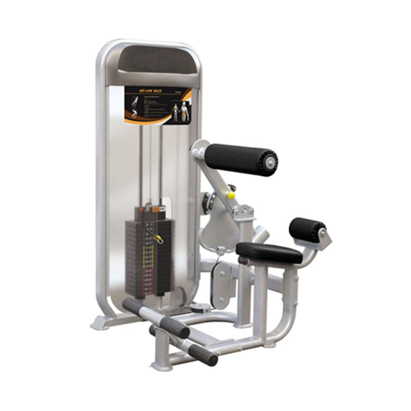 GymGear Dual Series Ab / Low Back