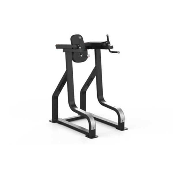 GymGear Sterling Series Vertical Knee Raise