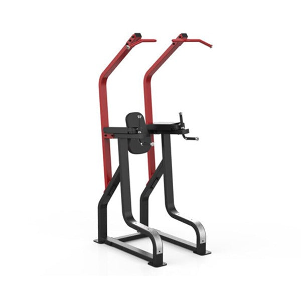 GymGear Sterling Series Chin / Dip / Knee Raise Frame
