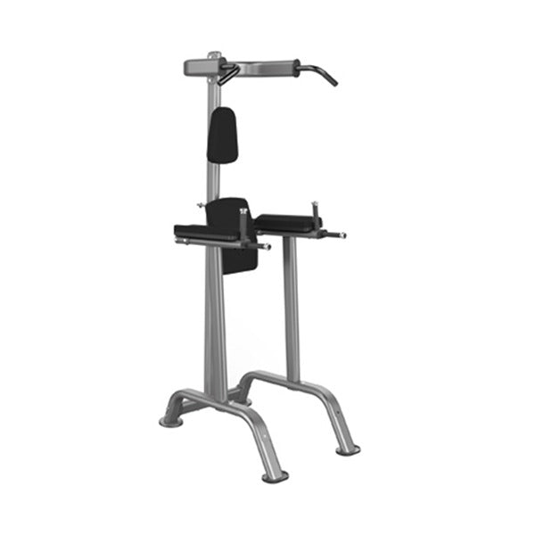 GymGear Elite Series Chin/Dip/Knee Raise Frame