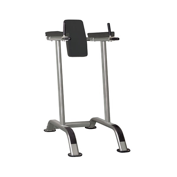 GymGear Elite Series Vertical Knee Raise